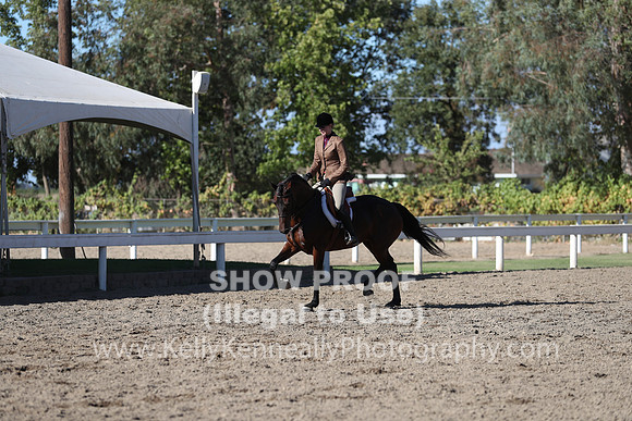 DAHA_FALL19FRIPM_3313