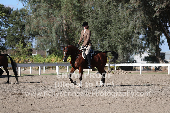 DAHA_FALL19FRIPM_3267