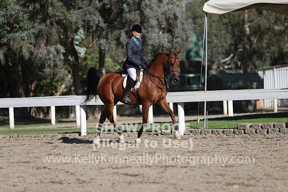 DAHA_FALL19FRIPM_3271
