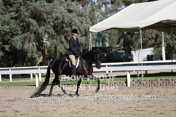 DAHA_FALL19FRIPM_3330