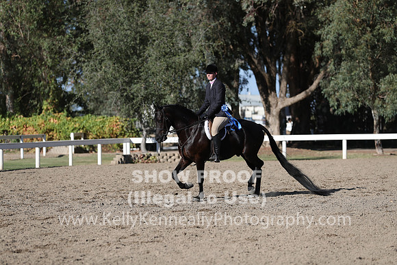 DAHA_FALL19FRIPM_3341