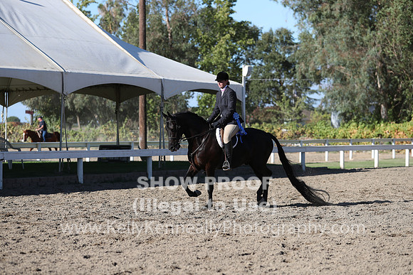 DAHA_FALL19FRIPM_3343