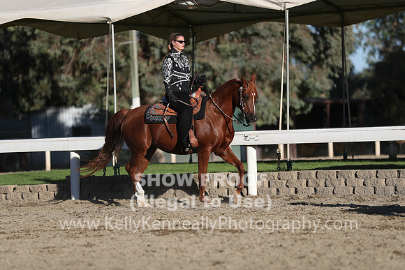 DAHA_FALL19FRIPM_3644