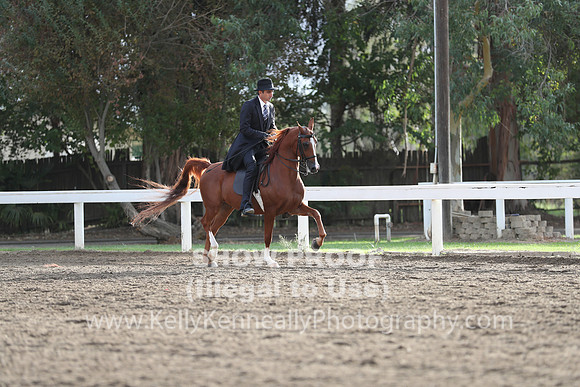 DAHA_FALL19SATAM_4009