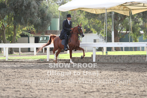 DAHA_FALL19SATAM_4011