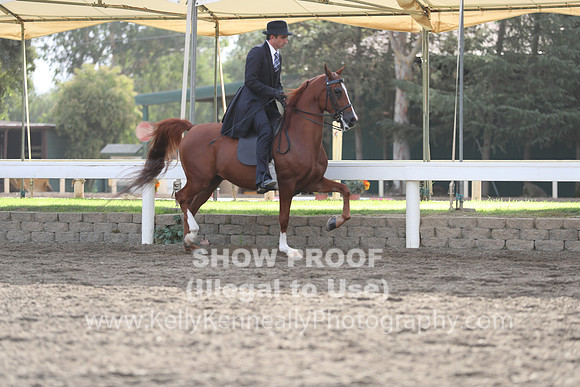 DAHA_FALL19SATAM_4013