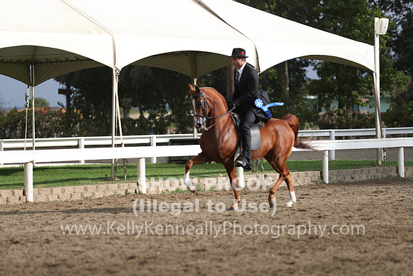 DAHA_FALL19SATAM_4017