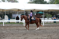DAHA_FALL19SATAM_4113