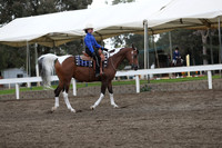 DAHA_FALL19SATAM_4120