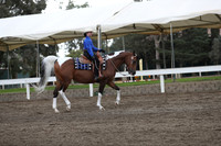 DAHA_FALL19SATAM_4121