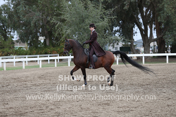 DAHA_FALL19SATAM_4251