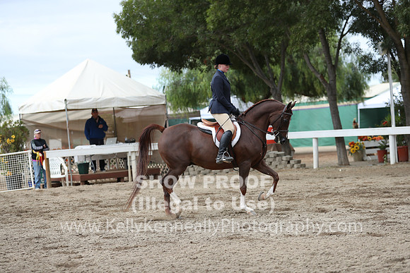 DAHA_FALL19SATAM_4221