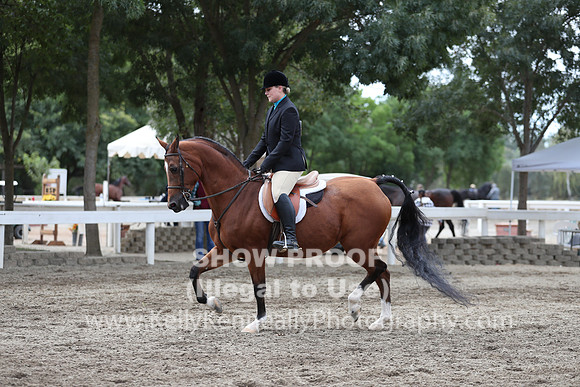 DAHA_FALL19SATAM_4311