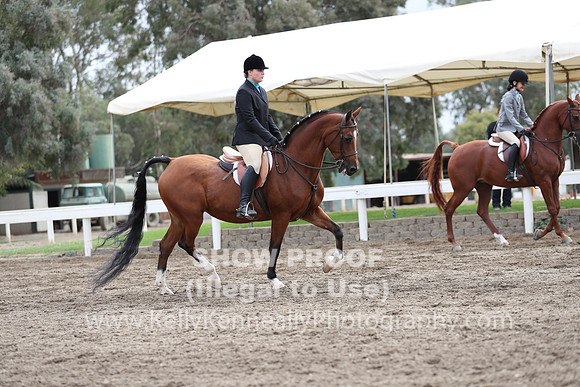 DAHA_FALL19SATAM_4326