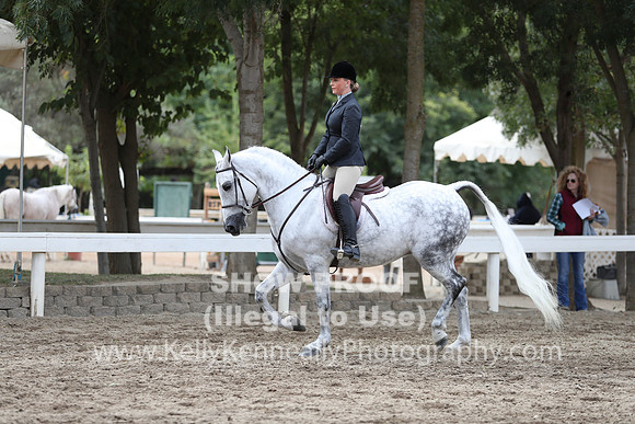 DAHA_FALL19SATAM_4312