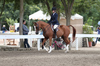 DAHA_FALL19SATPM_5007