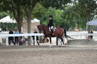 DAHA_FALL19SATPM_5009