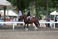DAHA_FALL19SATPM_5011