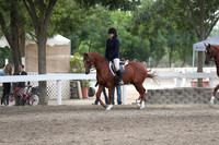 DAHA_FALL19SATPM_5013