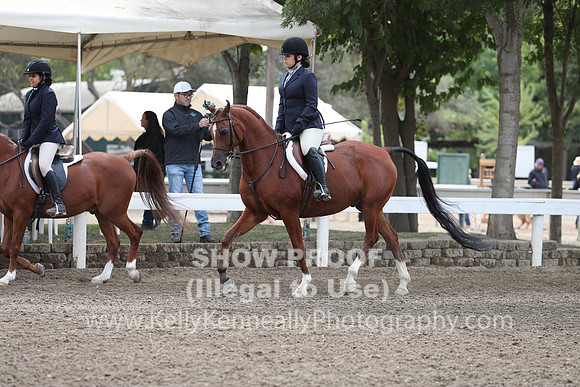 DAHA_FALL19SATPM_5015