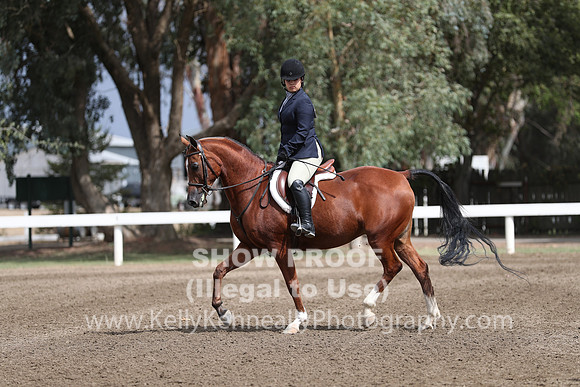 DAHA_FALL19SATPM_5018