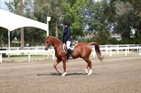 DAHA_FALL19SATPM_5021