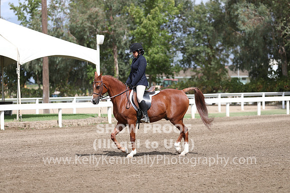 DAHA_FALL19SATPM_5021