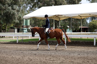 DAHA_FALL19SATPM_5022