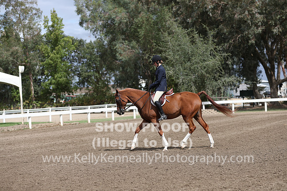 DAHA_FALL19SATPM_5024