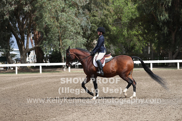 DAHA_FALL19SATPM_5026