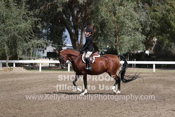 DAHA_FALL19SATPM_5029