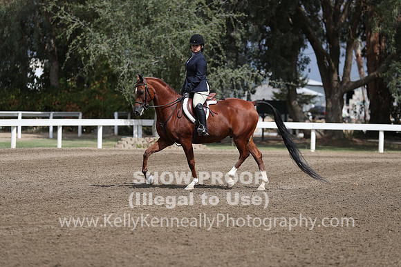 DAHA_FALL19SATPM_5034