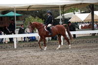 DAHA_FALL19SATPM_5144