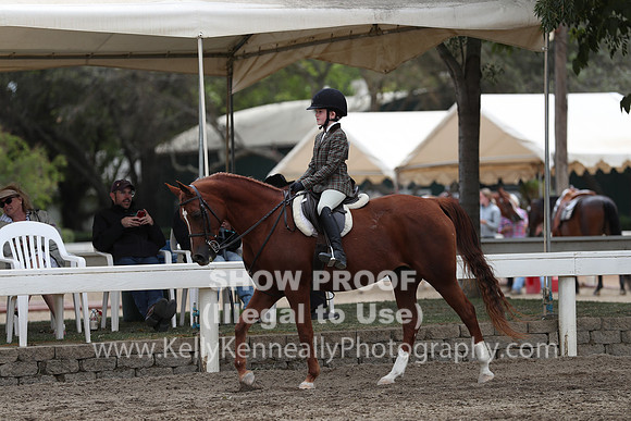 DAHA_FALL19SATPM_5146