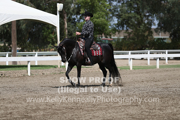 DAHA_FALL19SATPM_5083