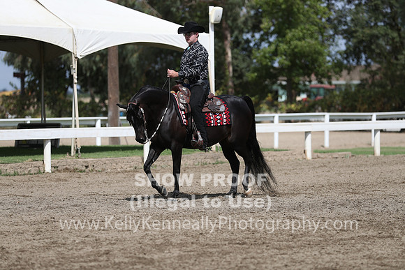 DAHA_FALL19SATPM_5084