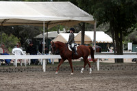 DAHA_FALL19SATPM_5155