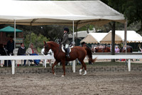 DAHA_FALL19SATPM_5156