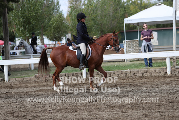 DAHA_FALL19SATPM_5051
