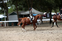 DAHA_FALL19SATPM_5162