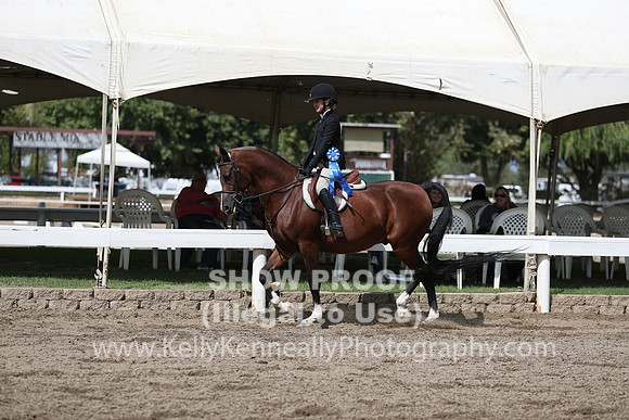 DAHA_FALL19SATPM_5066