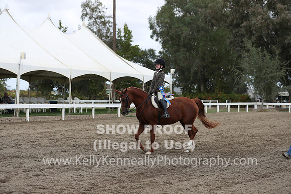 DAHA_FALL19SATPM_5172