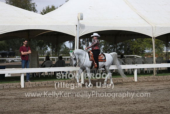 DAHA_FALL19SATPM_5113