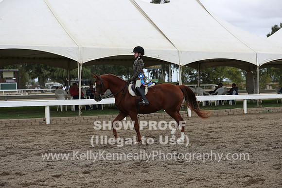 DAHA_FALL19SATPM_5175