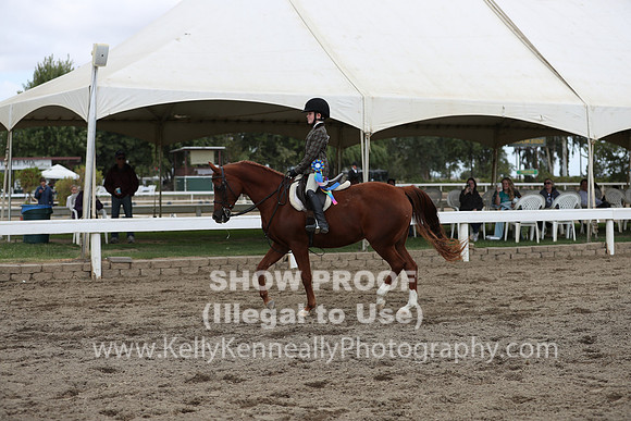 DAHA_FALL19SATPM_5176