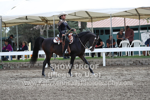 DAHA_FALL19SATPM_5119