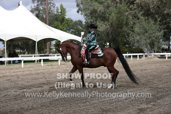 DAHA_FALL19SATPM_5129