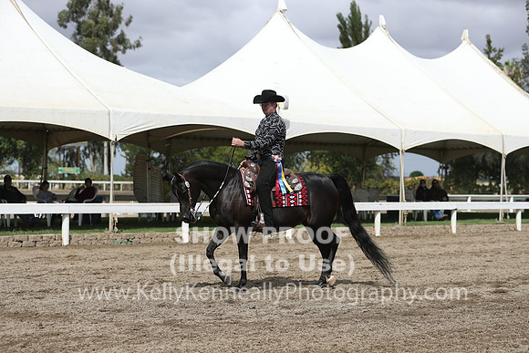 DAHA_FALL19SATPM_5138