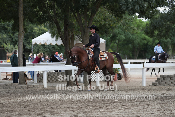 DAHA_FALL19SATPM_5178