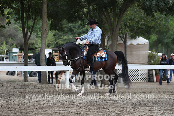 DAHA_FALL19SATPM_5185